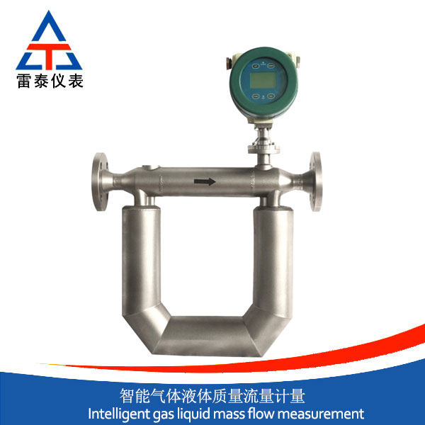 智能氣體液體質(zhì)量流量計量